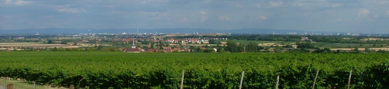Laumersheim, ein schönes Dorf in der Pfalz,umgeben von Wein und Obst